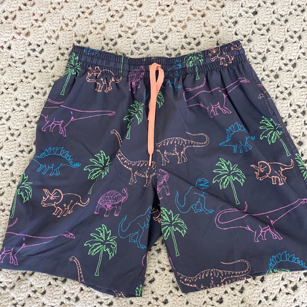 Chubbies Neon dinosaurs swim trunks